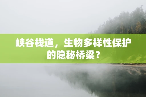 峡谷栈道，生物多样性保护的隐秘桥梁？
