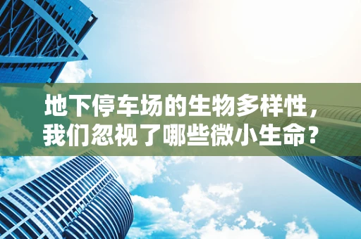 地下停车场的生物多样性，我们忽视了哪些微小生命？