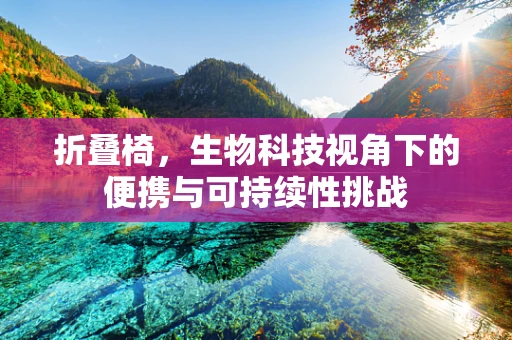 折叠椅，生物科技视角下的便携与可持续性挑战