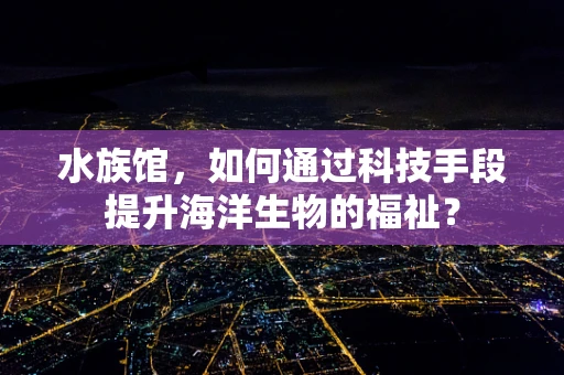 水族馆，如何通过科技手段提升海洋生物的福祉？