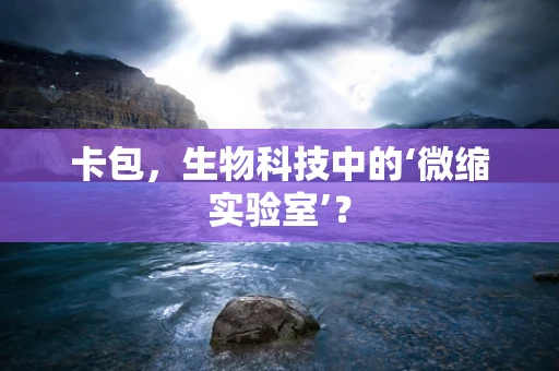 卡包，生物科技中的‘微缩实验室’？