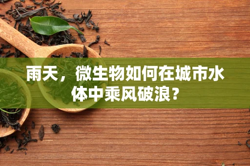 雨天，微生物如何在城市水体中乘风破浪？
