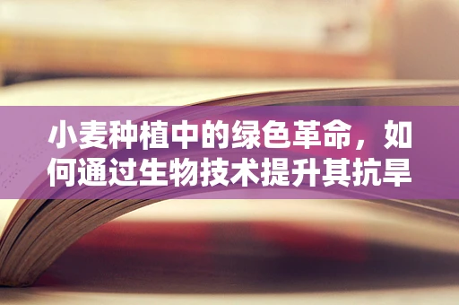 小麦种植中的绿色革命，如何通过生物技术提升其抗旱性？