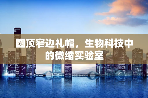 圆顶窄边礼帽，生物科技中的微缩实验室
