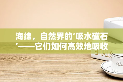 海绵，自然界的‘吸水磁石’——它们如何高效地吸收和储存水分？