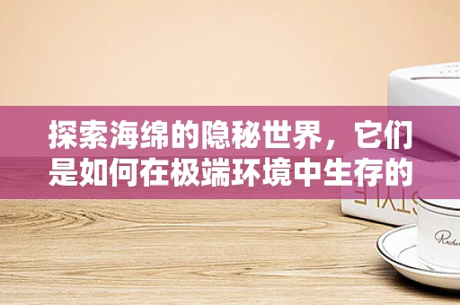 探索海绵的隐秘世界，它们是如何在极端环境中生存的？