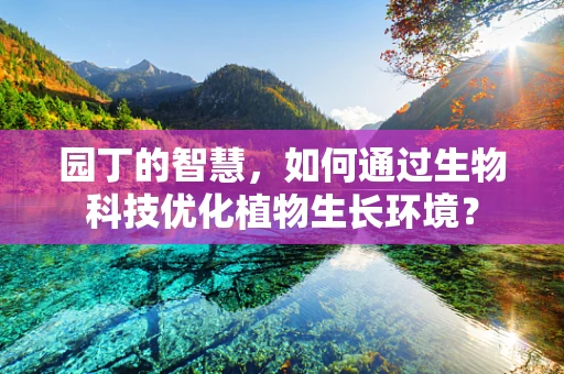 园丁的智慧，如何通过生物科技优化植物生长环境？