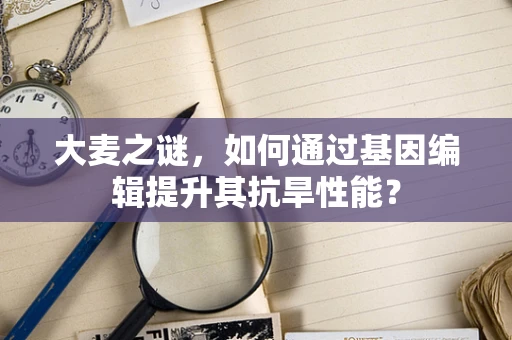 大麦之谜，如何通过基因编辑提升其抗旱性能？
