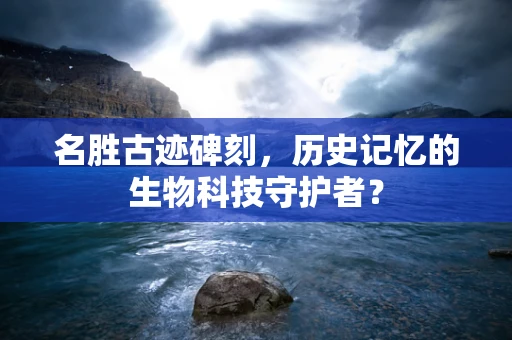 名胜古迹碑刻，历史记忆的生物科技守护者？