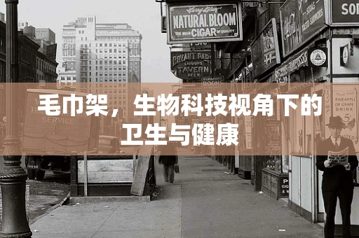 毛巾架，生物科技视角下的卫生与健康