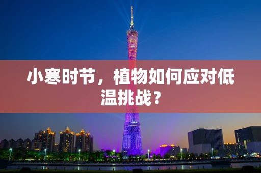 小寒时节，植物如何应对低温挑战？