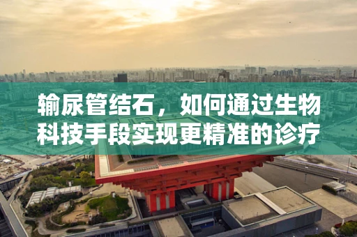 输尿管结石，如何通过生物科技手段实现更精准的诊疗？