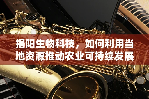 揭阳生物科技，如何利用当地资源推动农业可持续发展？