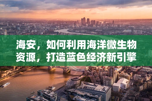 海安，如何利用海洋微生物资源，打造蓝色经济新引擎？