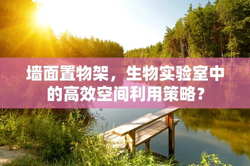墙面置物架，生物实验室中的高效空间利用策略？
