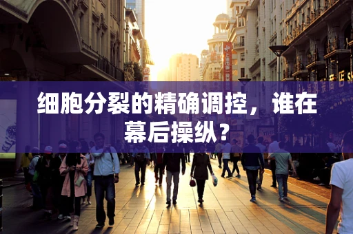 细胞分裂的精确调控，谁在幕后操纵？