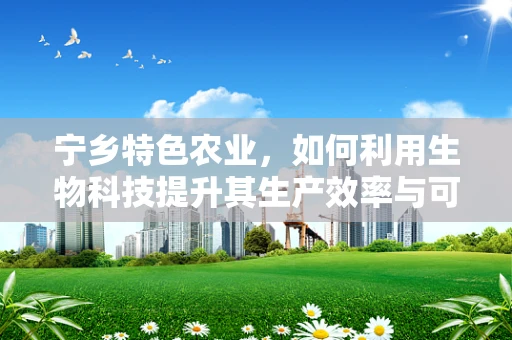 宁乡特色农业，如何利用生物科技提升其生产效率与可持续性？