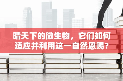 晴天下的微生物，它们如何适应并利用这一自然恩赐？