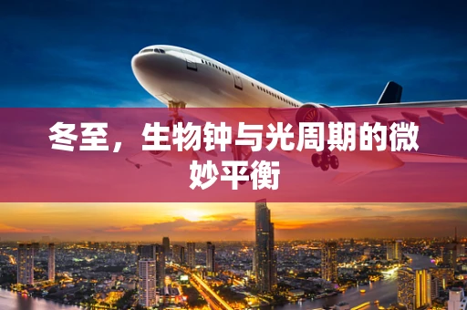 冬至，生物钟与光周期的微妙平衡