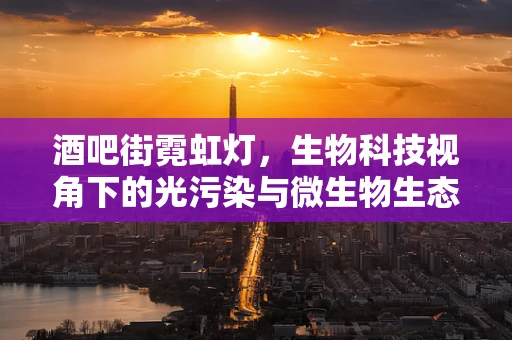 酒吧街霓虹灯，生物科技视角下的光污染与微生物生态