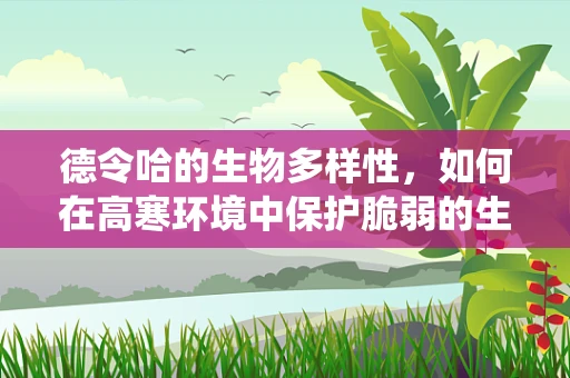 德令哈的生物多样性，如何在高寒环境中保护脆弱的生态系统？