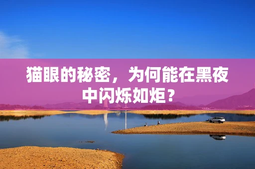 猫眼的秘密，为何能在黑夜中闪烁如炬？