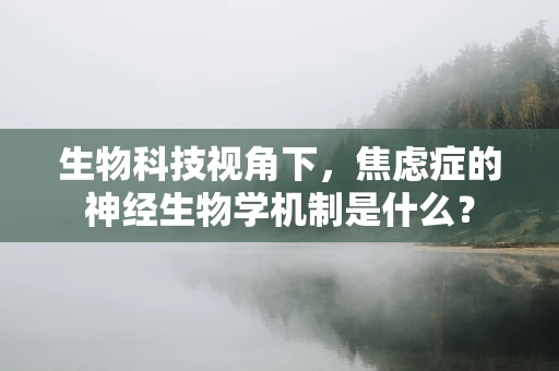 生物科技视角下，焦虑症的神经生物学机制是什么？