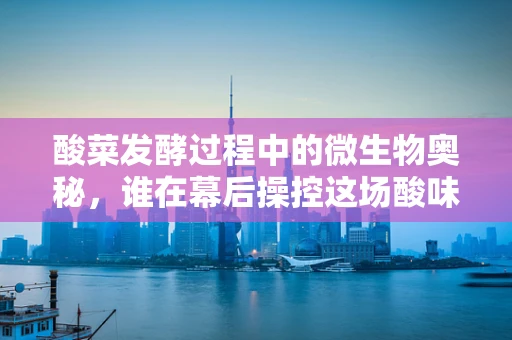 酸菜发酵过程中的微生物奥秘，谁在幕后操控这场酸味革命？
