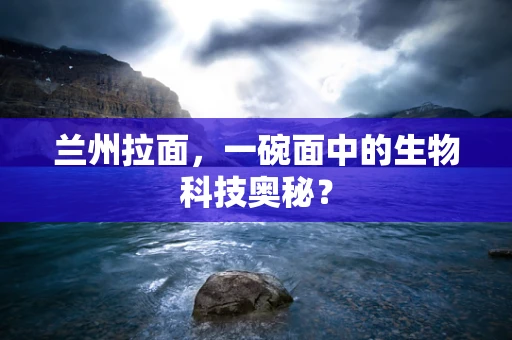 兰州拉面，一碗面中的生物科技奥秘？