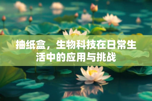 抽纸盒，生物科技在日常生活中的应用与挑战