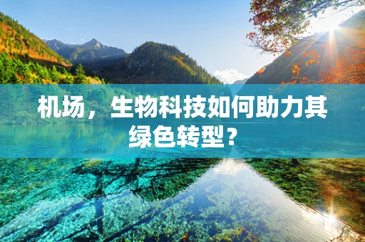 机场，生物科技如何助力其绿色转型？