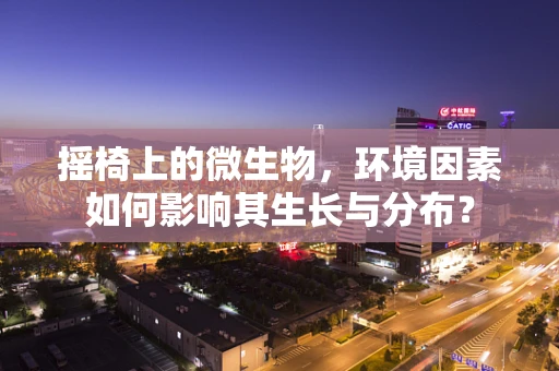 摇椅上的微生物，环境因素如何影响其生长与分布？
