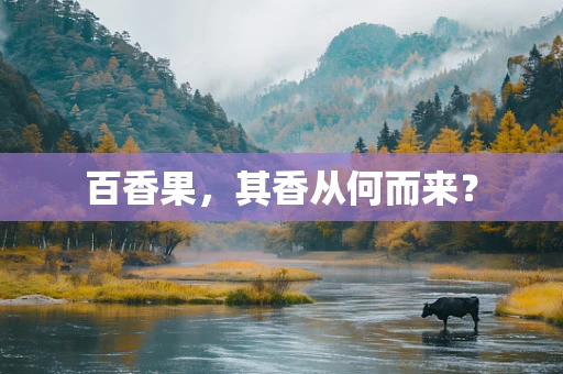 百香果，其香从何而来？