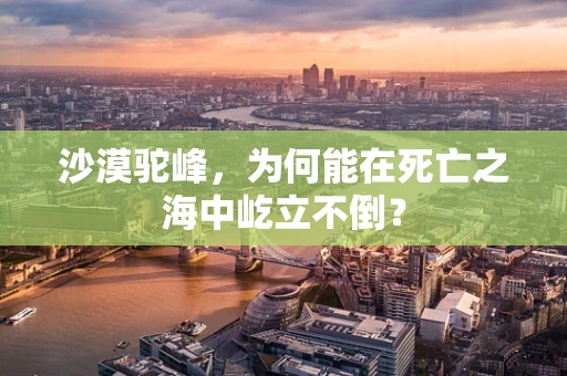 沙漠驼峰，为何能在死亡之海中屹立不倒？