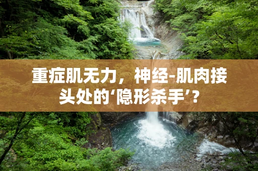 重症肌无力，神经-肌肉接头处的‘隐形杀手’？