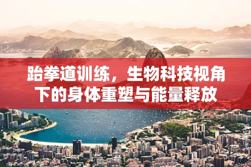 跆拳道训练，生物科技视角下的身体重塑与能量释放