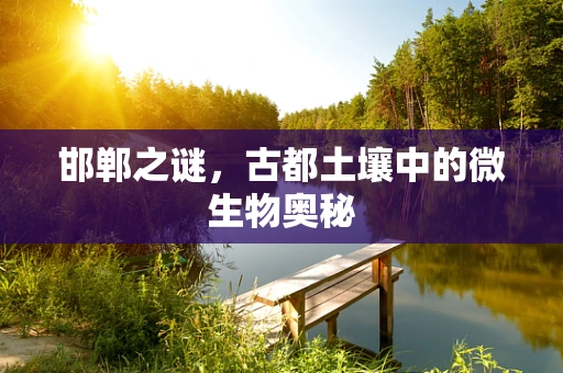 邯郸之谜，古都土壤中的微生物奥秘