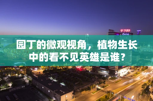 园丁的微观视角，植物生长中的看不见英雄是谁？