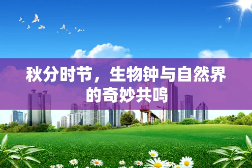 秋分时节，生物钟与自然界的奇妙共鸣