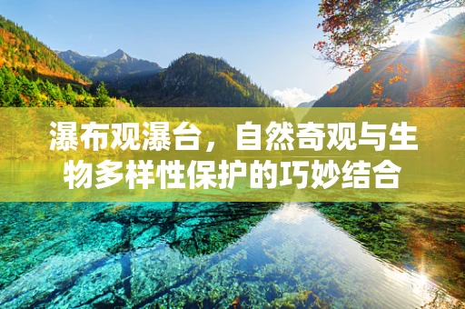 瀑布观瀑台，自然奇观与生物多样性保护的巧妙结合