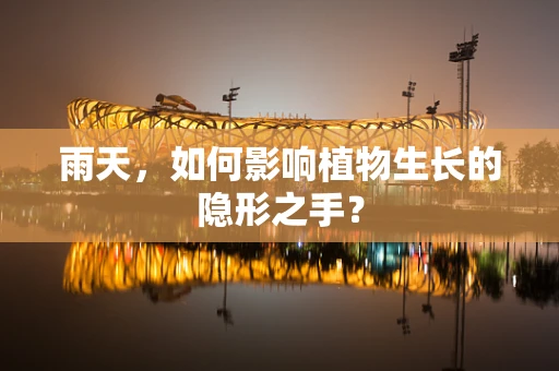 雨天，如何影响植物生长的隐形之手？