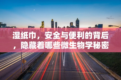 湿纸巾，安全与便利的背后，隐藏着哪些微生物学秘密？