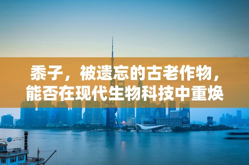 黍子，被遗忘的古老作物，能否在现代生物科技中重焕新生？