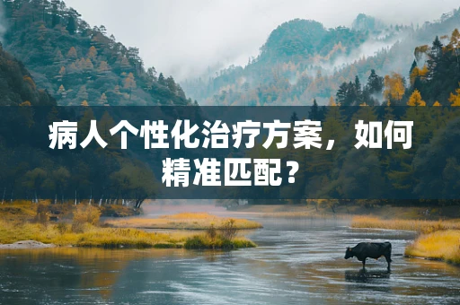 病人个性化治疗方案，如何精准匹配？