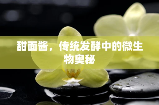 甜面酱，传统发酵中的微生物奥秘