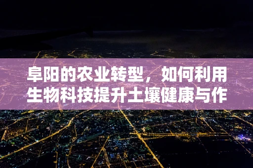 阜阳的农业转型，如何利用生物科技提升土壤健康与作物产量？