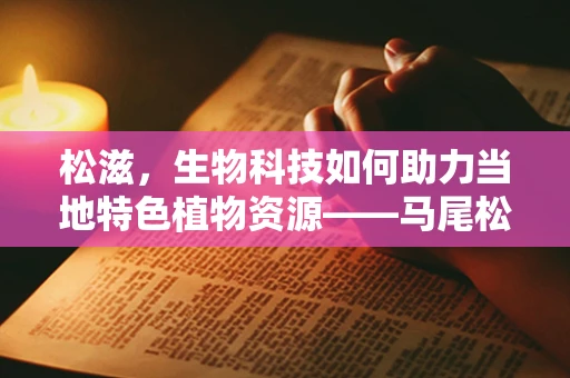 松滋，生物科技如何助力当地特色植物资源——马尾松的深度开发？