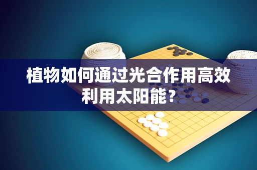 植物如何通过光合作用高效利用太阳能？