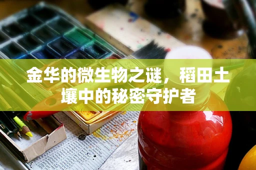金华的微生物之谜，稻田土壤中的秘密守护者