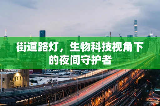街道路灯，生物科技视角下的夜间守护者
